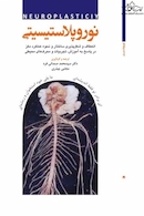 نوروپلاستیسیتی